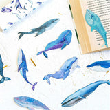 30pcs Paper Bookmark Whales Collection Set