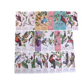 28pcs Paper Bookmark Birds of Paradise Collection